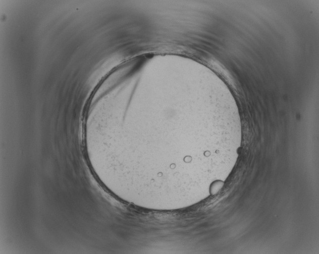 X0000087391095200705181301