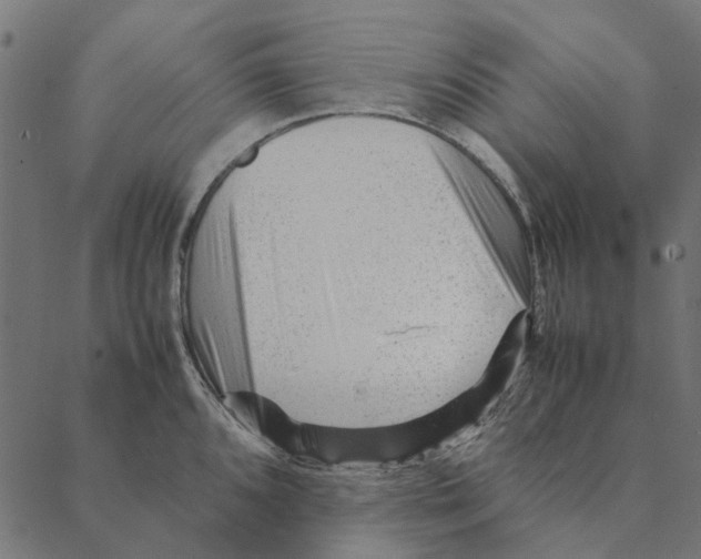 X0000087391096200705181301