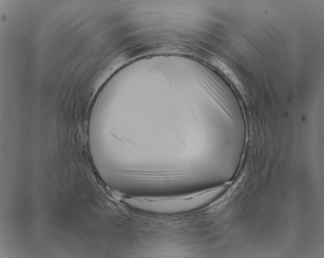 X0000087391097200705181301