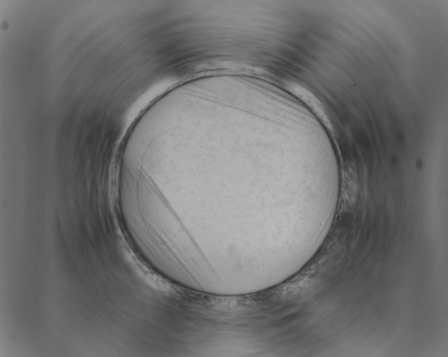 X0000087391098200705181301