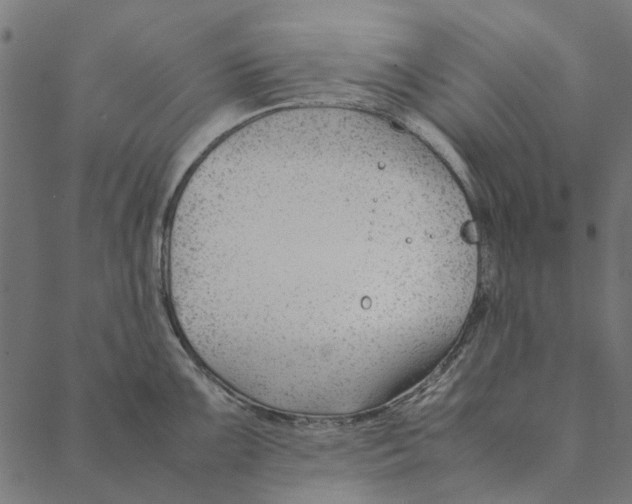 X0000087391099200705181301