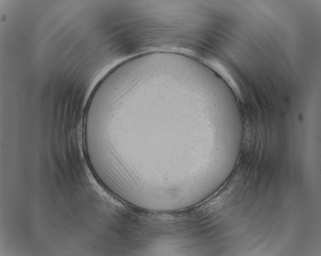 X0000087391100200705181301