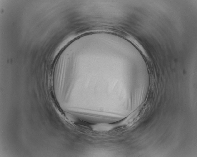 X0000087391101200705181301