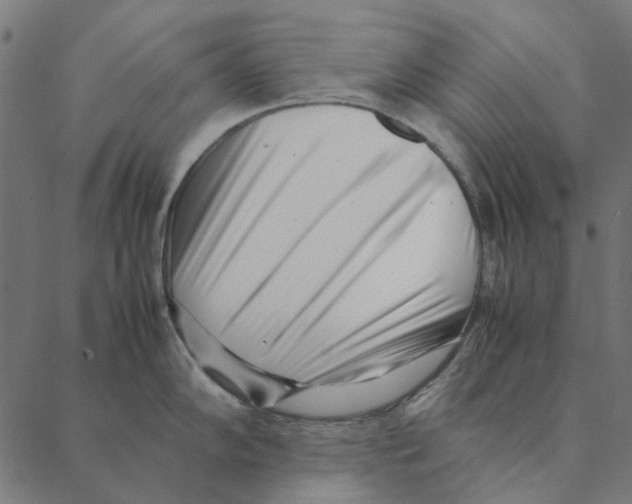 X0000087391102200705181301