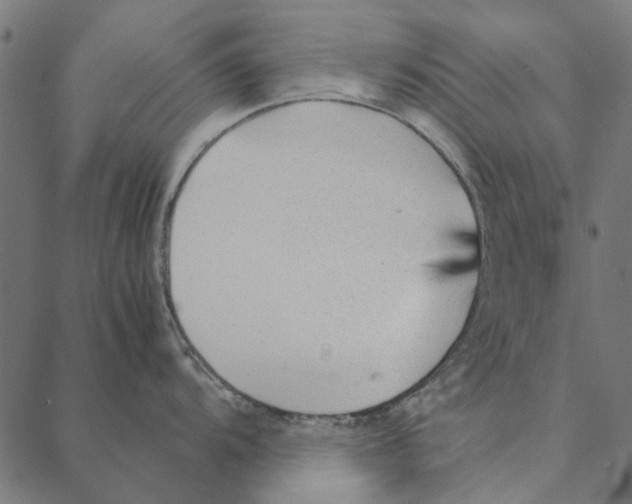 X0000087391104200705181301