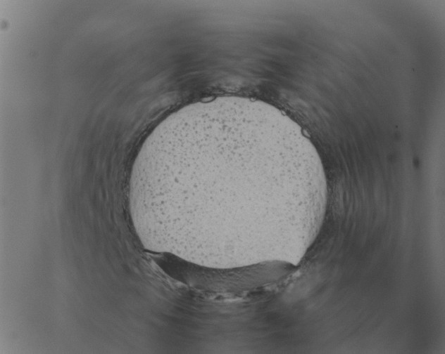 X0000087391105200705181300