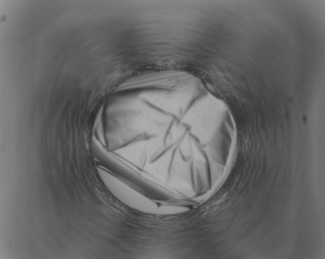 X0000087391106200705181300