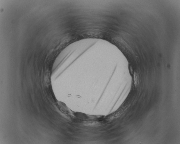 X0000087391107200705181300