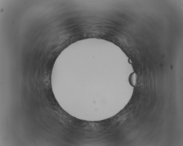 X0000087391109200705181300