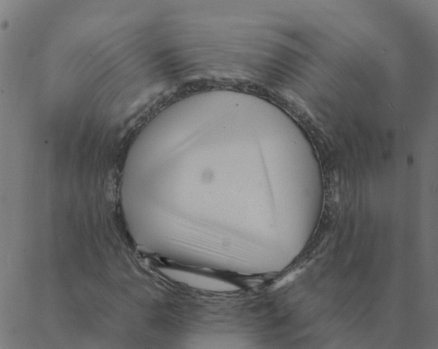 X0000087391110200705181300