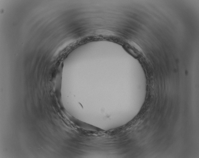 X0000087391112200705181300