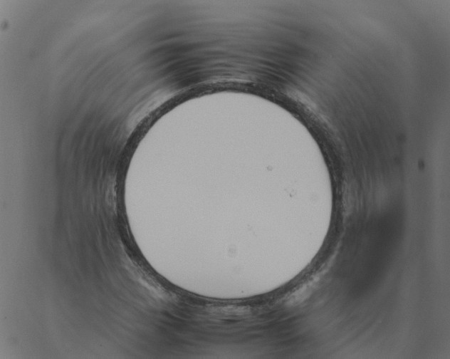 X0000087391113200705181300