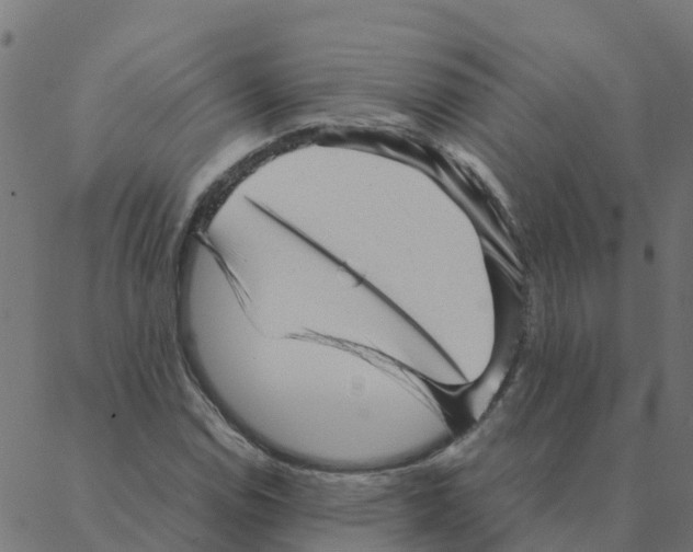 X0000087391114200705181300