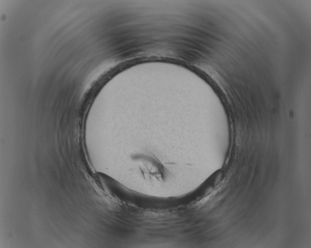 X0000087391115200705181300