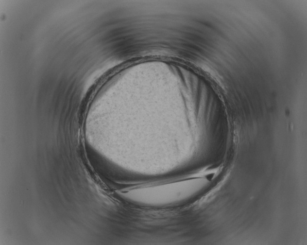 X0000087391117200705181300