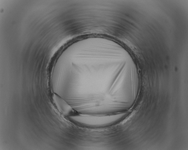 X0000087391118200705181300