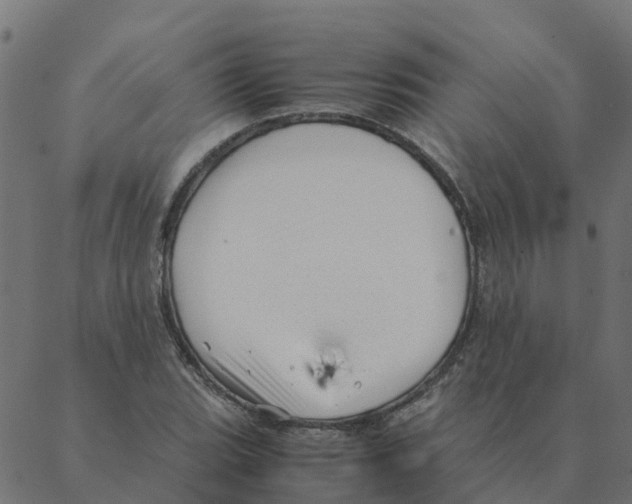 X0000087391119200705181300