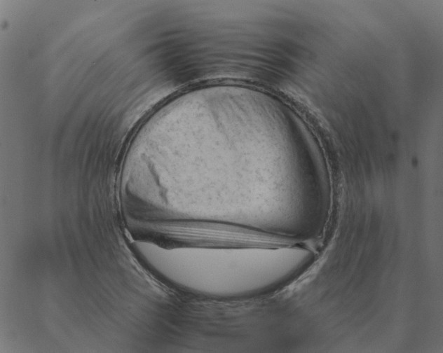 X0000087391121200705181300