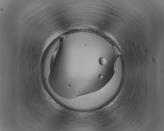 X0000087391122200705181300