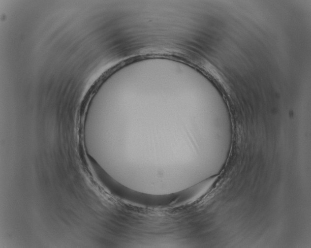 X0000087391124200705181300