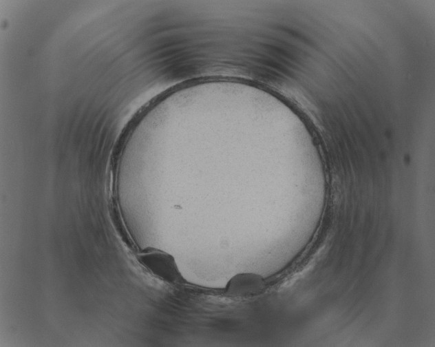 X0000087391125200705181300