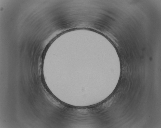 X0000087391126200705181300