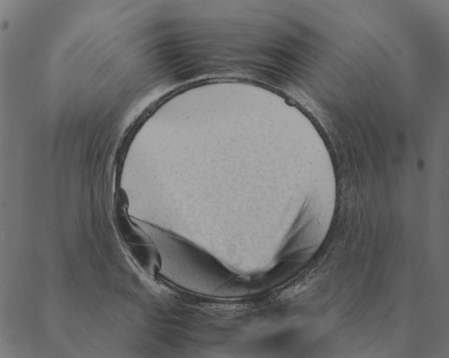 X0000087391127200705181300