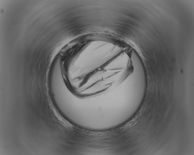 X0000087391128200705181300