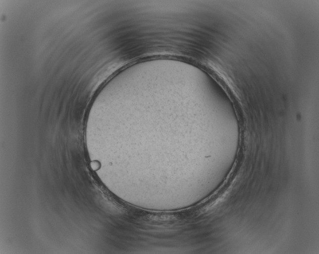 X0000087391129200705181300