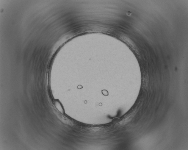 X0000087391130200705181300