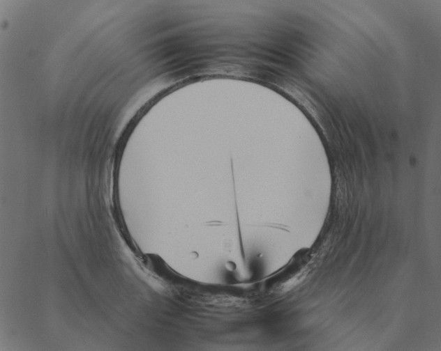 X0000087391131200705181300