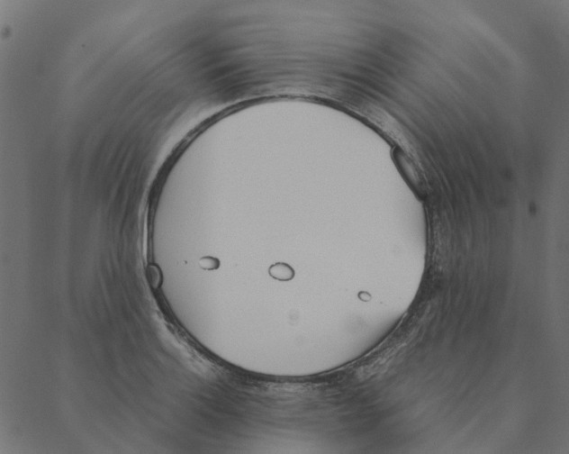 X0000087391132200705181300