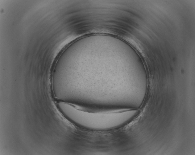 X0000087391133200705181300