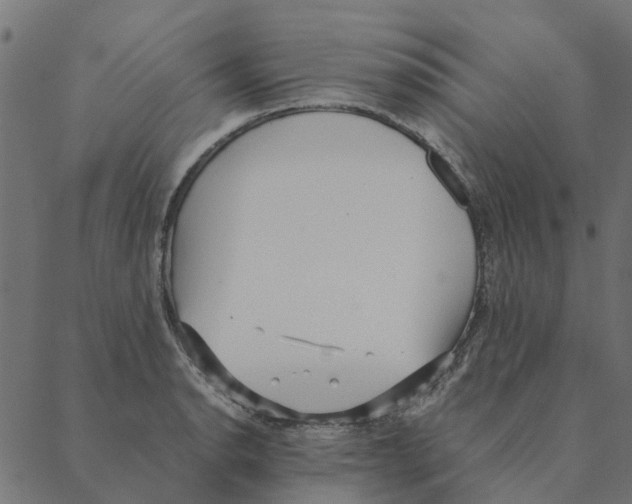 X0000087391134200705181300