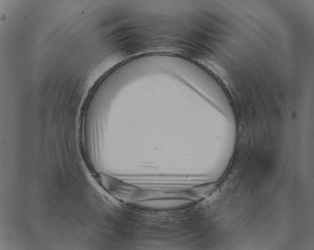 X0000087391135200705181301