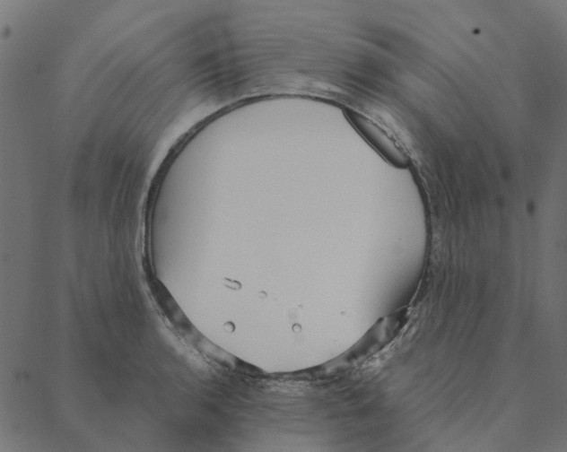 X0000087391136200705181301