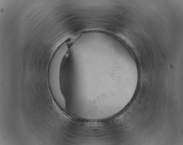 X0000087391137200705181301