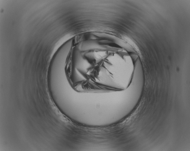 X0000087391138200705181301