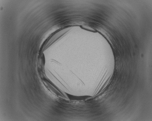 X0000087391139200705181301