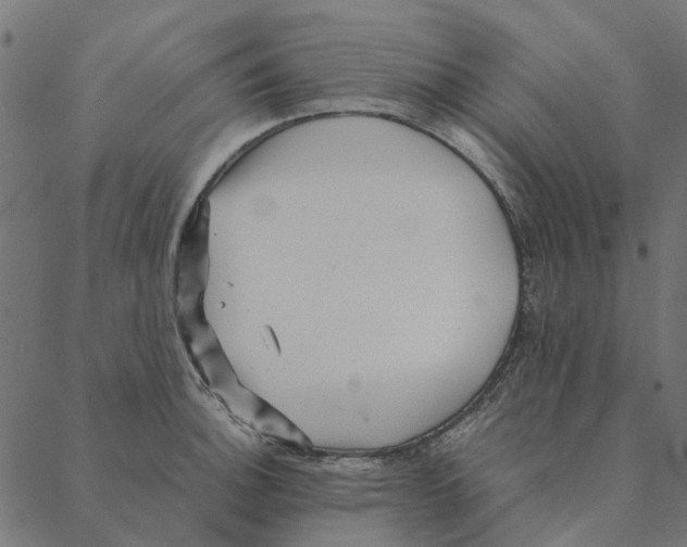 X0000087391140200705181301