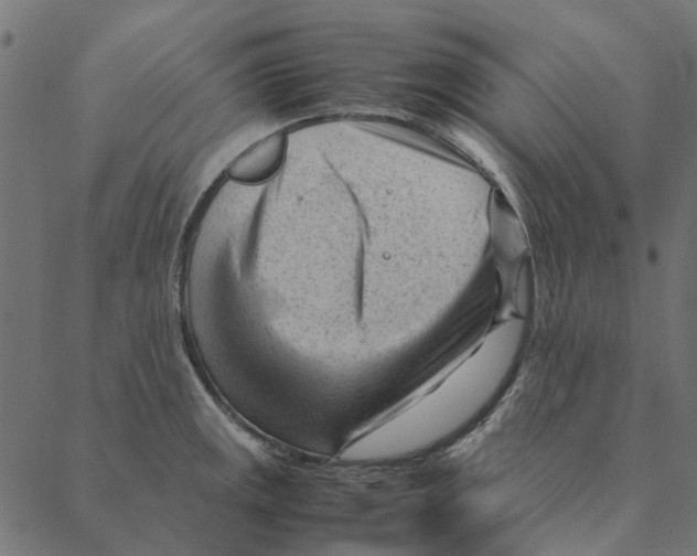 X0000087391141200705181301