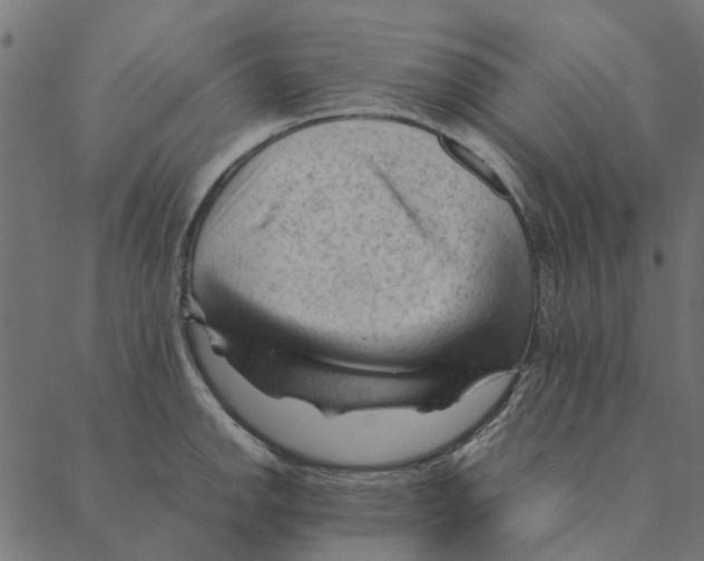 X0000087391142200705181301