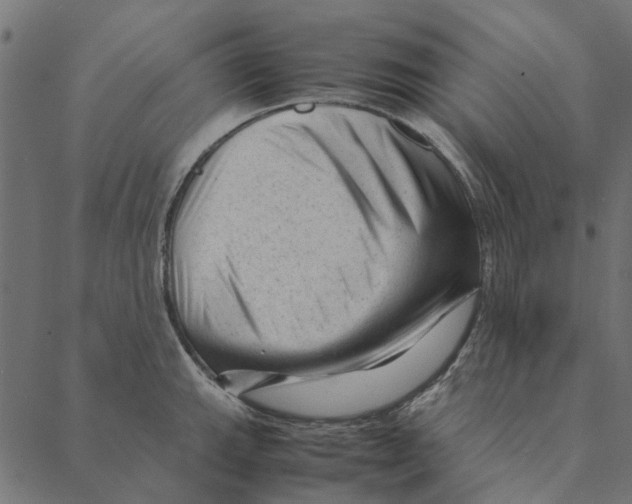 X0000087391143200705181301