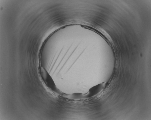 X0000087391144200705181301