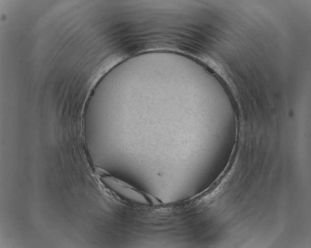 X0000087391145200705181301