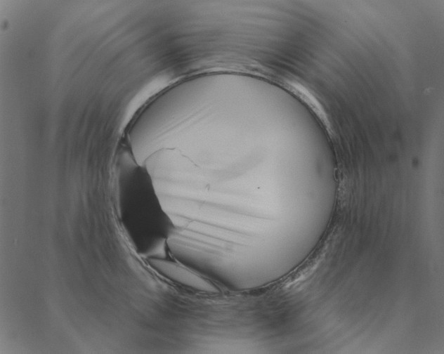 X0000087391146200705181301