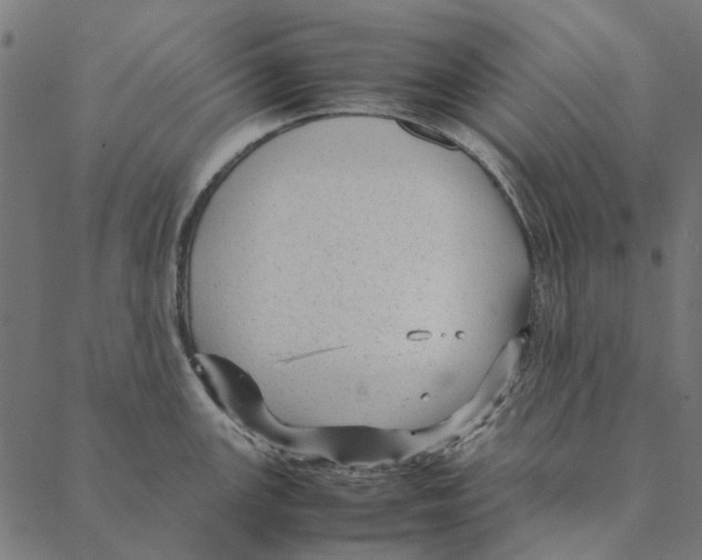 X0000087391147200705181301