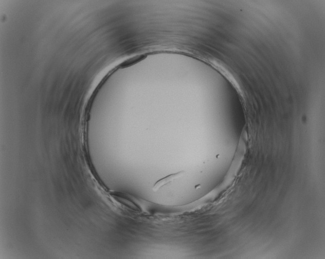 X0000087391148200705181301