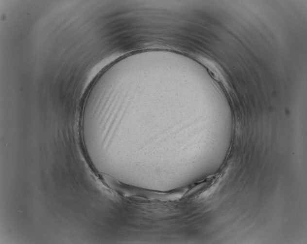 X0000087391149200705181301