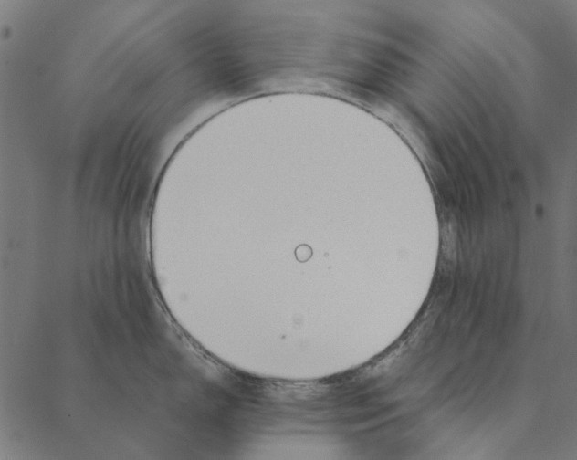 X0000087391150200705181301